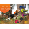 COLLIER GPS POUR CHIEN - WEENECT XT