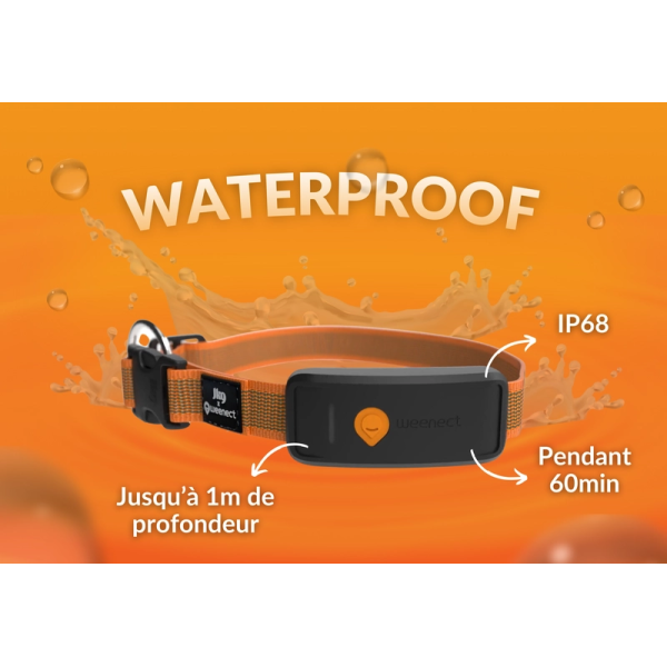 COLLIER GPS POUR CHIEN - WEENECT XT