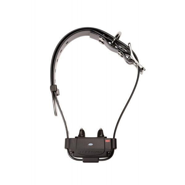 SYSTEME ANTI-FUGUE SANS FIL NUMAXES CANIFUGUE FUG1034