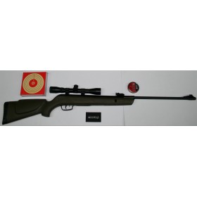 CARABINE GAMO BC 1000-E BARRIC 20J CAL 4.5