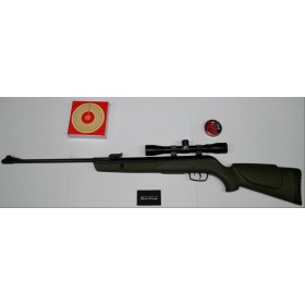 CARABINE GAMO BC 1000-E BARRIC 20J CAL 4.5