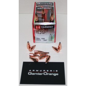 OGIVE HORNADY 3010 CAL. 30 SP 110GR X100
