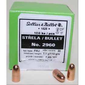 OGIVE SELLIER & BELLOT 30 RN 110 GR X100