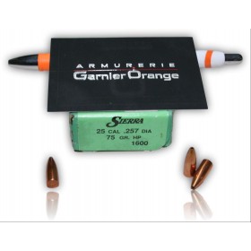 OGIVE SIERRA S1600 CAL. 25 - 257 75GR HP X100