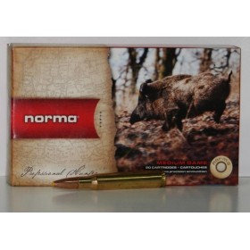 MUNITIONS NORMA PPDC 180GR CAL. 30-06 X20