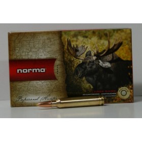 MUNITIONS NORMA PPDC 180GR CAL. 300WM X20