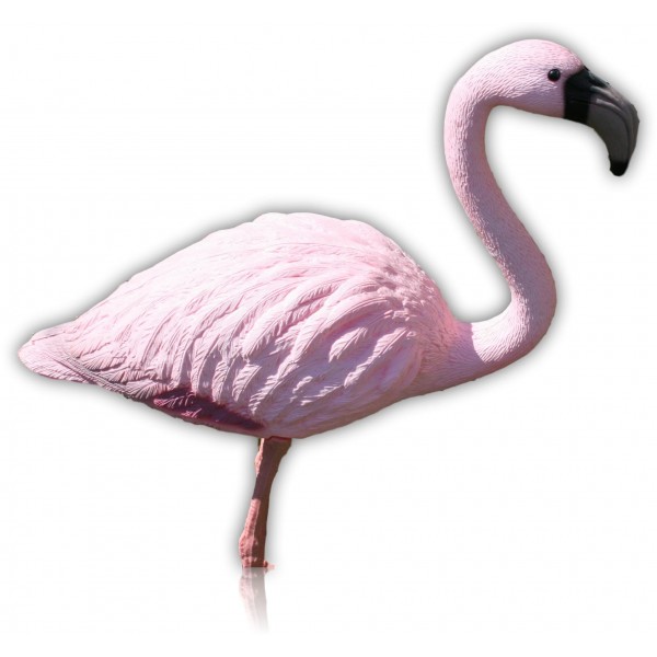 FLAMANT ROSE PLASTIQUE
