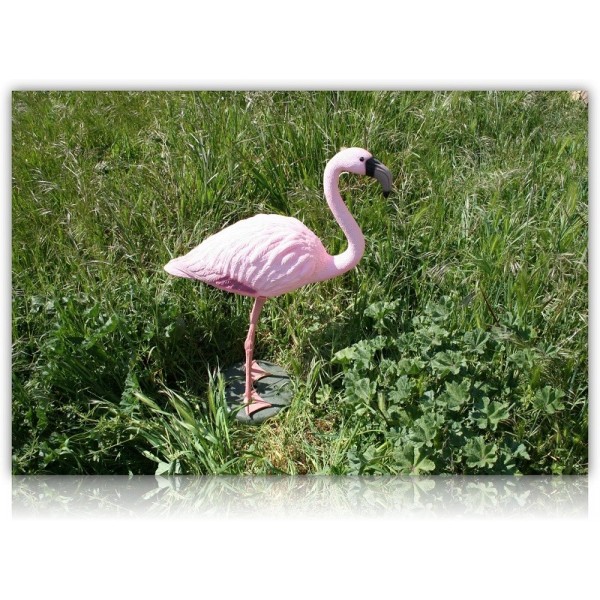 FLAMANT ROSE PLASTIQUE