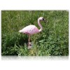 FLAMANT ROSE PLASTIQUE