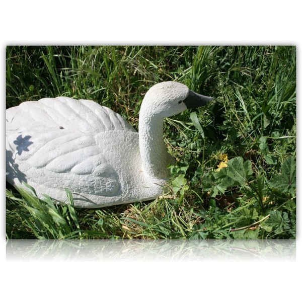 CYGNE PLASTIQUE