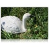 CYGNE PLASTIQUE