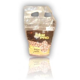 OGIVES CAM PRO FCP CAL 40 400 165GR TC LOT 500 40FCP165TC