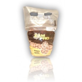 OGIVES CAM PRO FCP CAL 40 400 180GR TC LOT 500 40FCP180TC