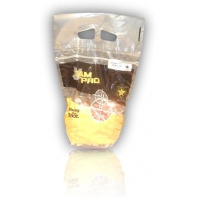 OGIVES CAM PRO FCP CAL 45 451 200GR TC LOT 500 45FCP200TC