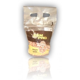 OGIVES CAM PRO FCP CAL 38/357 357 158GR RNFP LOT 500 38FCP158RN