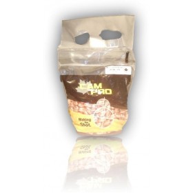 OGIVES CAM PRO FCP CAL 38/357 356 121GR RN LOT 500 S38FCP121RN