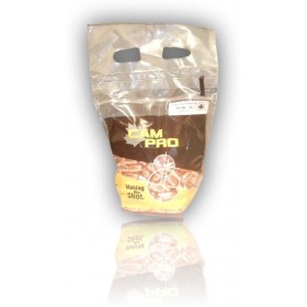 OGIVES CAM PRO FCP CAL 38/357 356 124GR RNHP LOT 500 S38FCP124HP