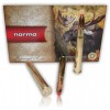 MUNITIONS NORMA PPDC 285GR CAL. 9.3X74 R X20